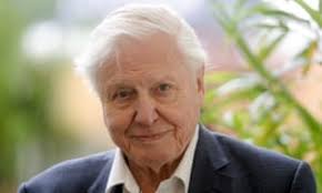 International School in Malaysia